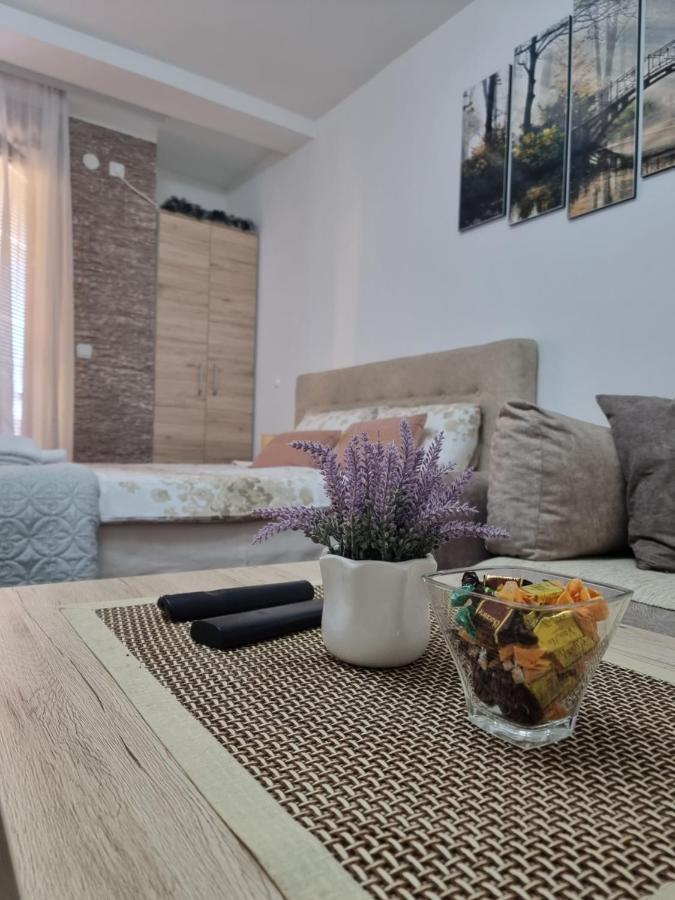 Apartman Temida Lux Врнячка-Баня Екстер'єр фото